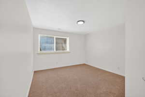 Unfurnished room featuring baseboards and carpet