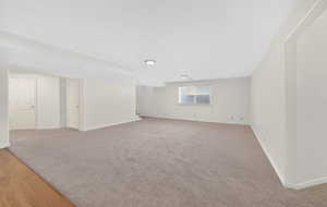 Basement featuring light carpet