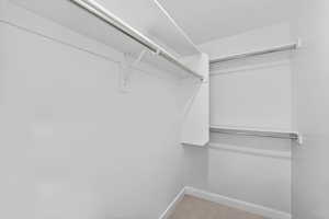 Walk in closet featuring light colored carpet
