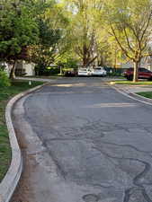 View of asphalt street with curbs