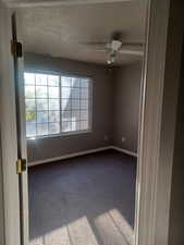 Office/Den 4th bdrm potential-Spare room with light carpet and a ceiling fan