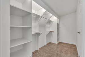 Walk in closet with light colored carpet