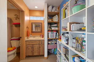Full bathroom featuring vanity and a shower with curtain