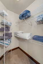 Walk in closet with carpet