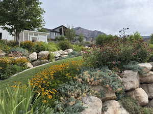 View of yard with a mountain view