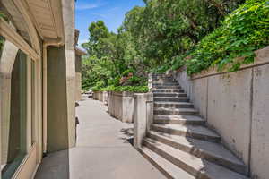 Stairway up to upper planting and gardens.