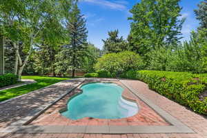 Beautiful Pool with cover