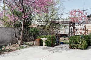View of fenced backyard