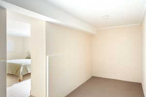 Below grade area with carpet floors