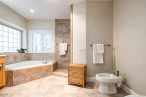 Bathroom featuring a bath, a bidet, light tile patterned floors, a walk in shower, and vanity