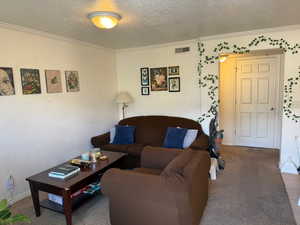 Living area featuring carpet floors, a textured ceiling, and ornamental molding