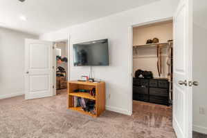 Bedroom featuring a walk in closet and carpet floors