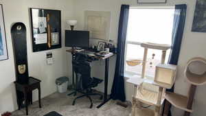 Used as an Office area featuring light carpet and lots of natural light