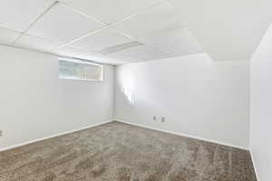 Below grade area featuring a drop ceiling and carpet