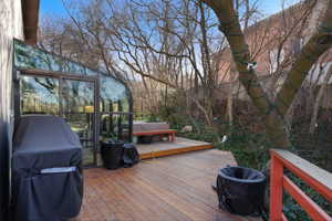 Deck with grilling area