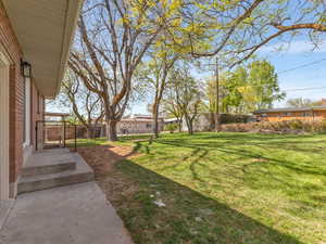 View of fenced backyard