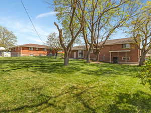 View of yard featuring a patio
