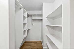 Primary Walk-in Closet