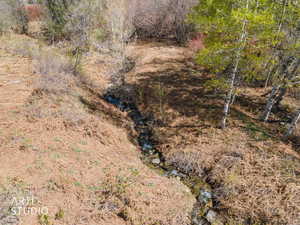 View of undeveloped land
