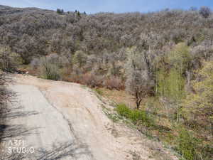 Bird's eye view of a heavily wooded area