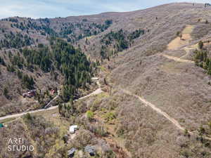 Aerial view of mountains and a forest