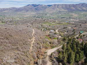 View of mountain background