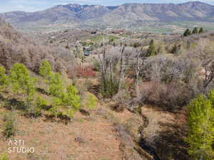 View of mountain background