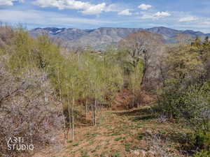 View of mountain backdrop