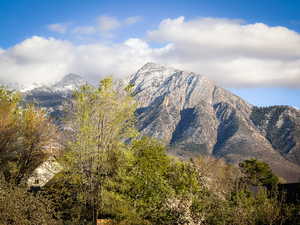 From your own backyard