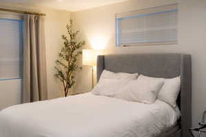 Lower level bedroom/egress windows