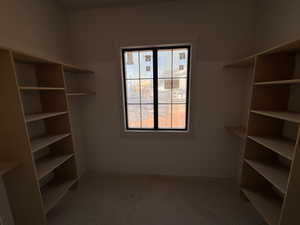 View of walk in closet