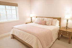 Bedroom with light carpet