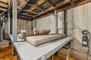 View of unfinished below grade area