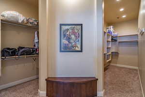 Walk in closet featuring light carpet