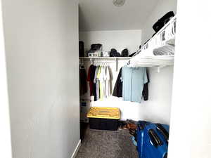 Walk in closet with carpet
