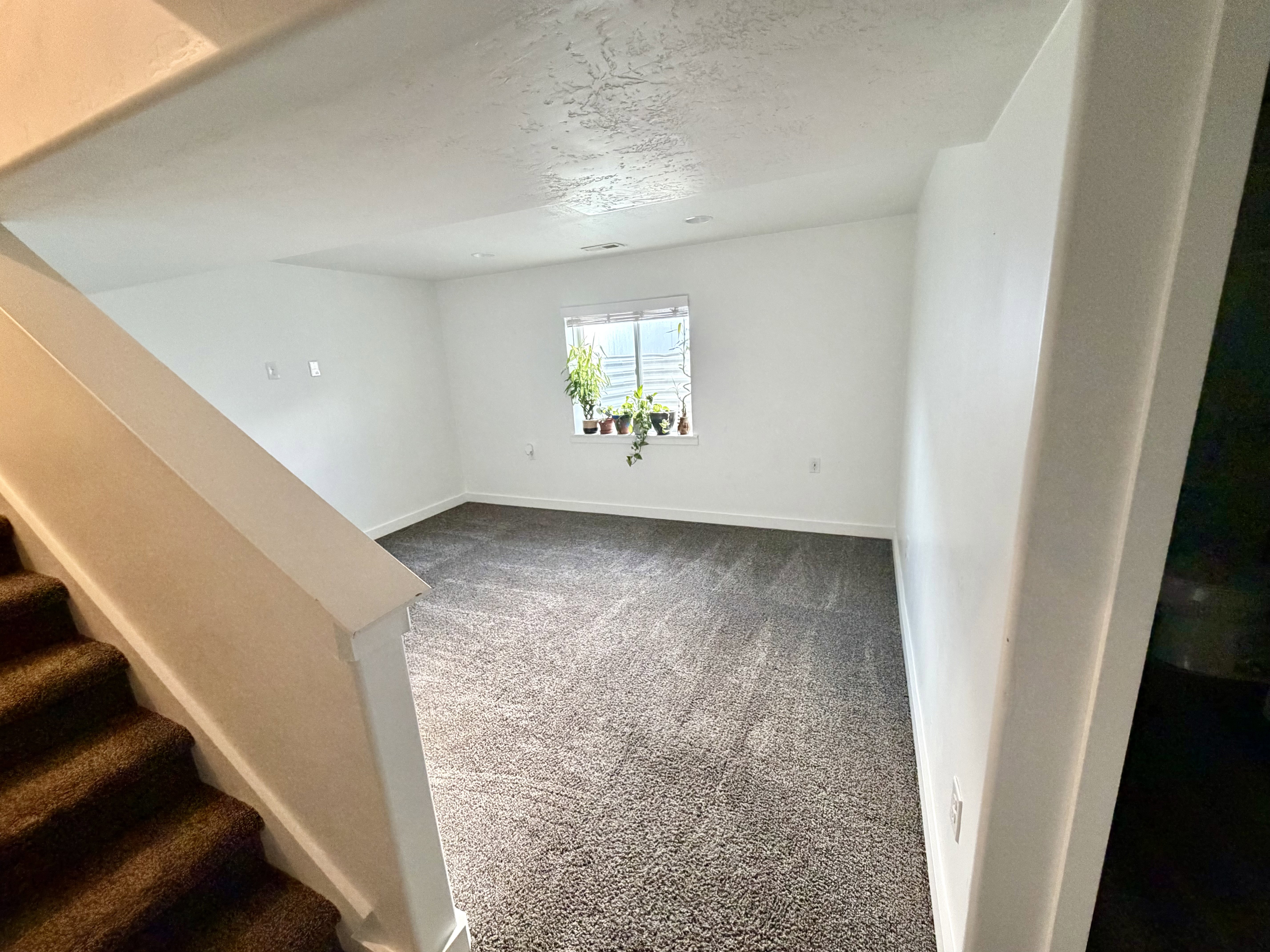 Unfurnished room with dark colored carpet and a textured ceiling