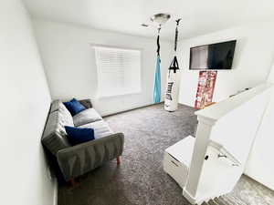 Living room featuring dark carpet and baseboards