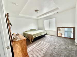 Bedroom with carpet flooring and a raised ceiling