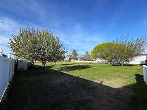 Room, room and more room to play, relax, or tend to your animals