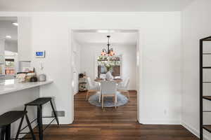 Dining area with dark wood-type flooring and suspended lighting