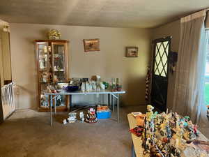 Dining room featuring a textured ceiling and carpet flooring