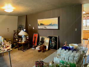 Carpeted living room with a textured ceiling and wooden walls