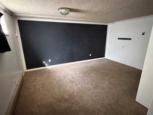 Carpeted spare room with ornamental molding, a textured ceiling, and baseboard heating