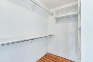 Walk in closet with light wood finished floors