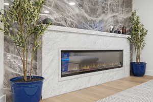 Detailed view of a premium fireplace and wood finished floors