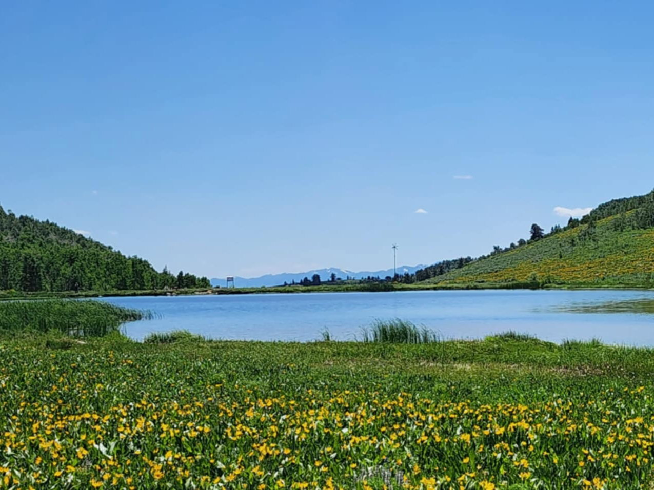 Water view featuring a mountainous background