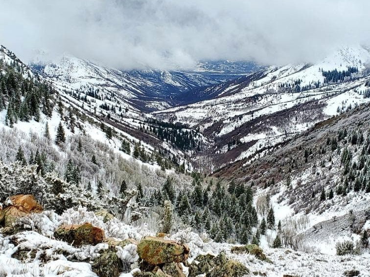 View of mountain background
