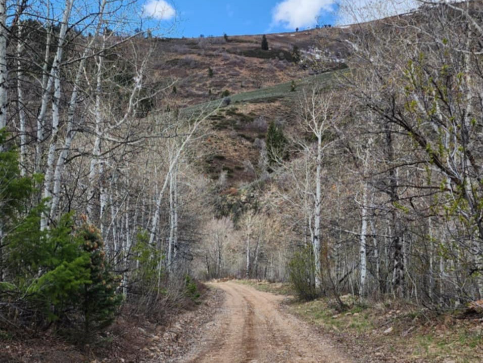 View of dirt / gravel road