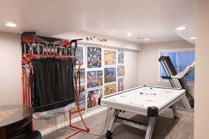 Playroom featuring recessed lighting and carpet floors