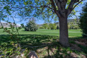 View of the golf course from the back yard.